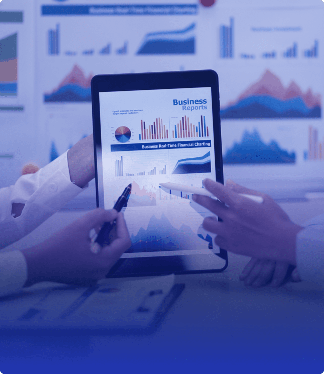 Visualization & Reporting